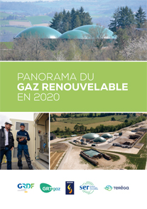 Panorama du gaz renouvelable 2020