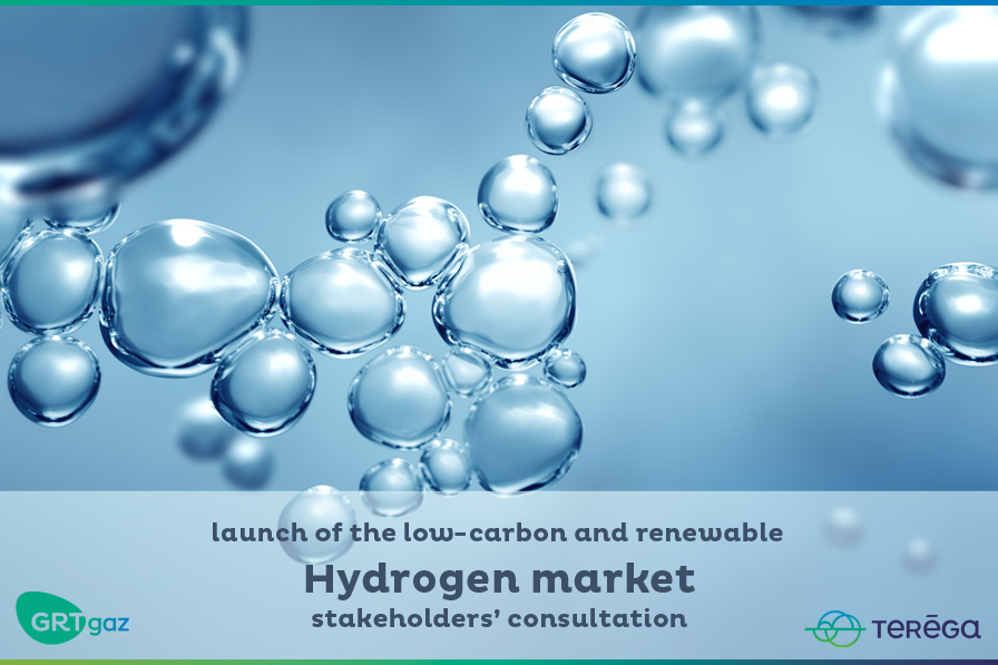 Low-carbon and renewable hydrogen market stakeholders’ consultation