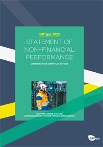 Statement of non-financial performance 2020