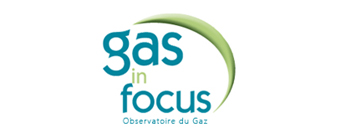 Logo Gas in Focus - Observateur du gaz au service de la transition énergétique