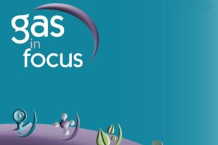 Couverture Gas in Focus 2020